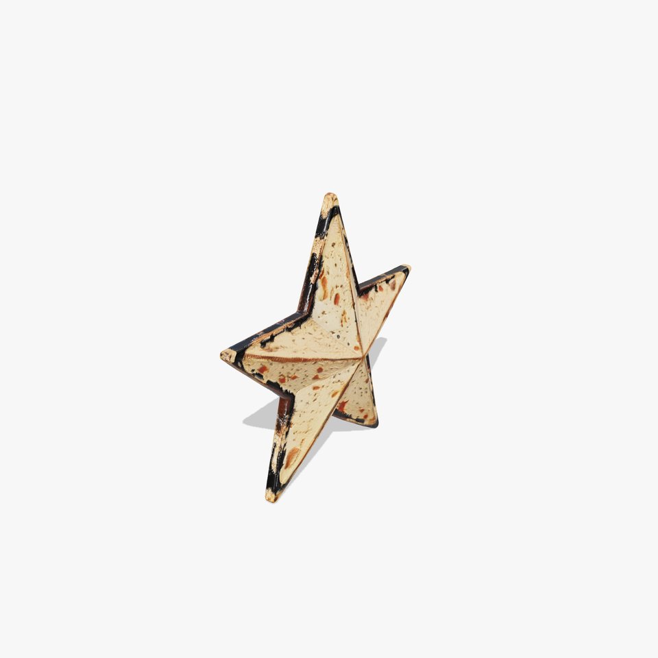 Rustic Metal Star and Twig Model Pack